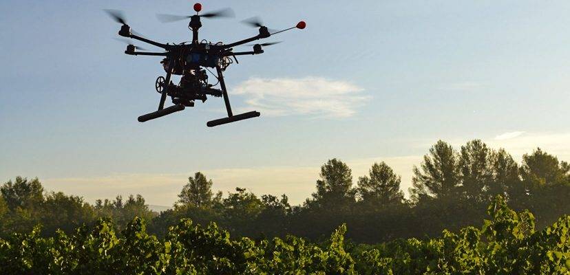 uso de drones em reflorestamento