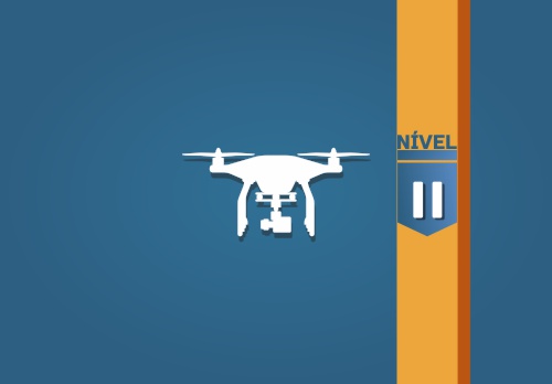 Pilto de drone Nível II